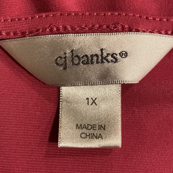 1X CJ Banks PInk Top with Gathered Sides - Picture 9 of 11